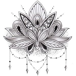 Meet your Posher, Jolene